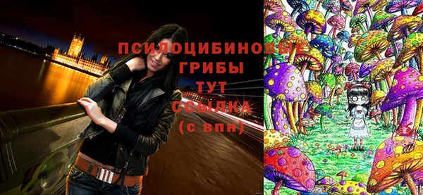 стафф Алексин