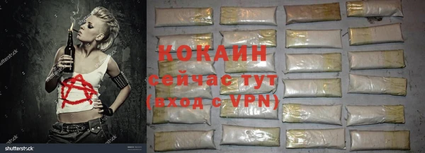 стафф Алексин