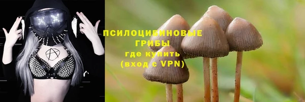 стафф Алексин