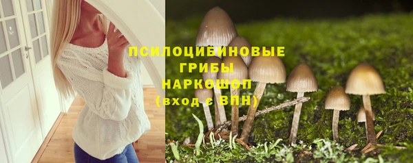 стафф Алексин